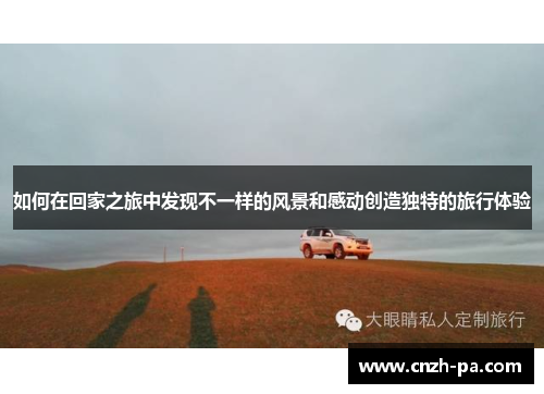 如何在回家之旅中发现不一样的风景和感动创造独特的旅行体验
