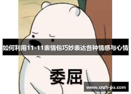 如何利用11-11表情包巧妙表达各种情感与心情