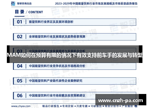 MAM如何在预算有限的情况下有效支持前车手的发展与转型