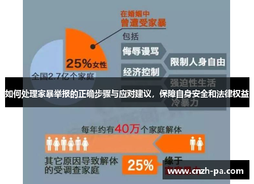 如何处理家暴举报的正确步骤与应对建议，保障自身安全和法律权益