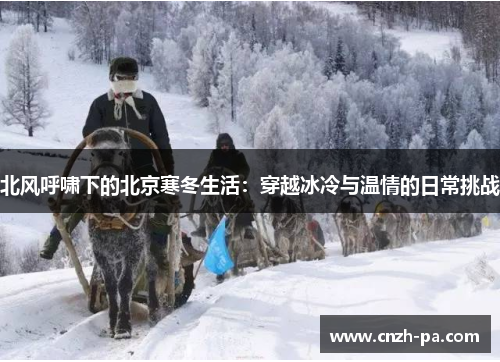 北风呼啸下的北京寒冬生活：穿越冰冷与温情的日常挑战