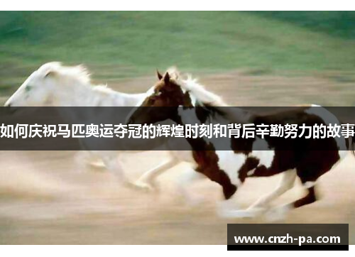 如何庆祝马匹奥运夺冠的辉煌时刻和背后辛勤努力的故事