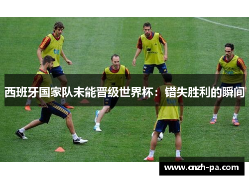 西班牙国家队未能晋级世界杯：错失胜利的瞬间