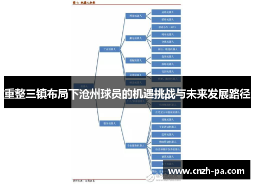 重整三镇布局下沧州球员的机遇挑战与未来发展路径 重整三镇布局下沧州球员的机遇挑战与未来发展路径