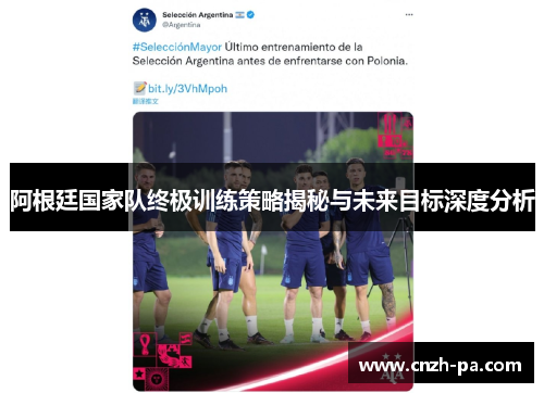 阿根廷国家队终极训练策略揭秘与未来目标深度分析