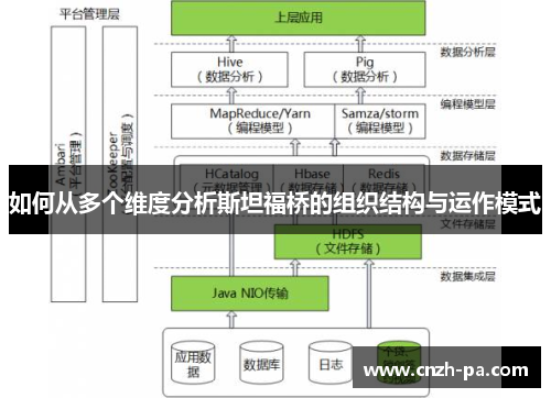 如何从多个维度分析斯坦福桥的组织结构与运作模式