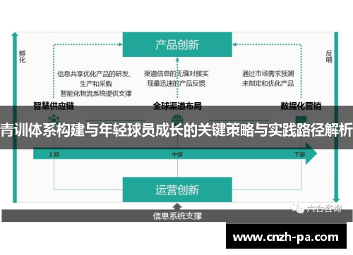 青训体系构建与年轻球员成长的关键策略与实践路径解析