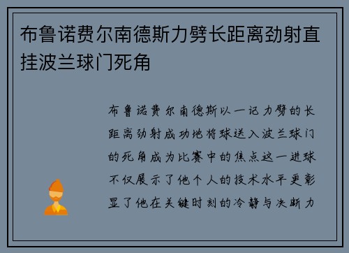 布鲁诺费尔南德斯力劈长距离劲射直挂波兰球门死角